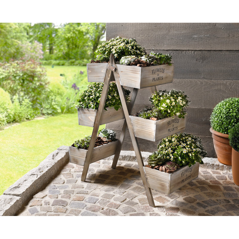 PierSurplus Foldable Plant Stand & Reviews Wayfair